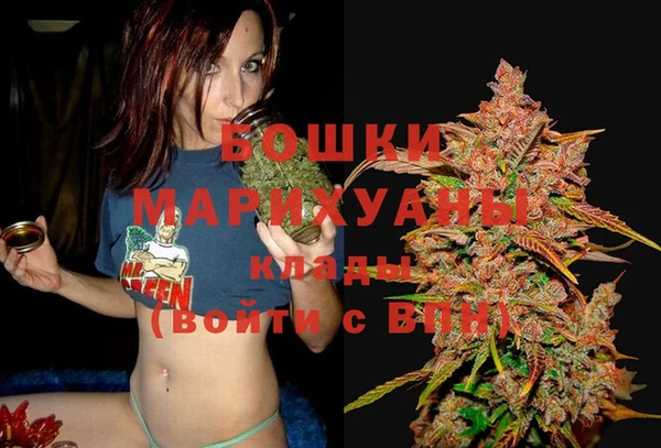 стаф Арсеньев