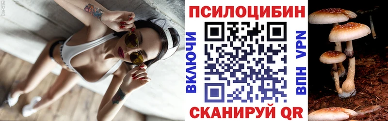 Псилоцибиновые грибы MAGIC MUSHROOMS  где можно купить наркотик  Междуреченск 